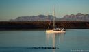 Seawind Catamarans Seawind 1160 sailing Picture extracted from the commercial documentation © Seawind Catamarans