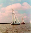 Oyster SJ43 sailing Picture extracted from the commercial documentation © Oyster