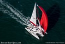 Neel Trimarans Neel 47 en navigation Image issue de la documentation commerciale © Neel Trimarans