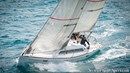 AD Boats Salona 35  Picture extracted from the commercial documentation © AD Boats